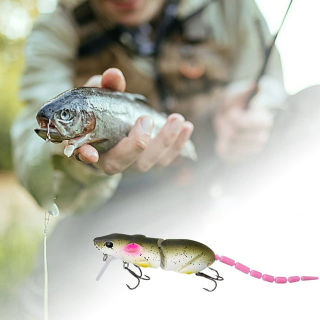 Riforla Leurres Réalistes 3D pour Truite et Poisson-Chat pour Eau Douce et Salée Appâts et Attracteurs