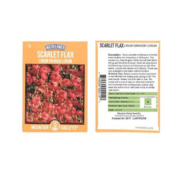 Scarlet Flax Red Flower Seeds – 200+ Linum Rubrum Annual – USA Free Shipping