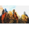 thumbnail image 3 of Tenoever, William 14x10 Black Modern Framed Museum Art Print Titled - Fall Colors I-Color Blast, 3 of 5
