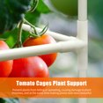 thumbnail image 4 of Tomato Cages 16 Inch Plant Support Garden Flower Support Multi-Functional Tomato Cucumber Trellis for Climbing Vegetables Small Plant Flower, 4 of 7
