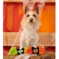 thumbnail image 3 of Bark Retail 111560 Halloween Flutter & Fang Dog Toy - Extra Small, 3 of 4
