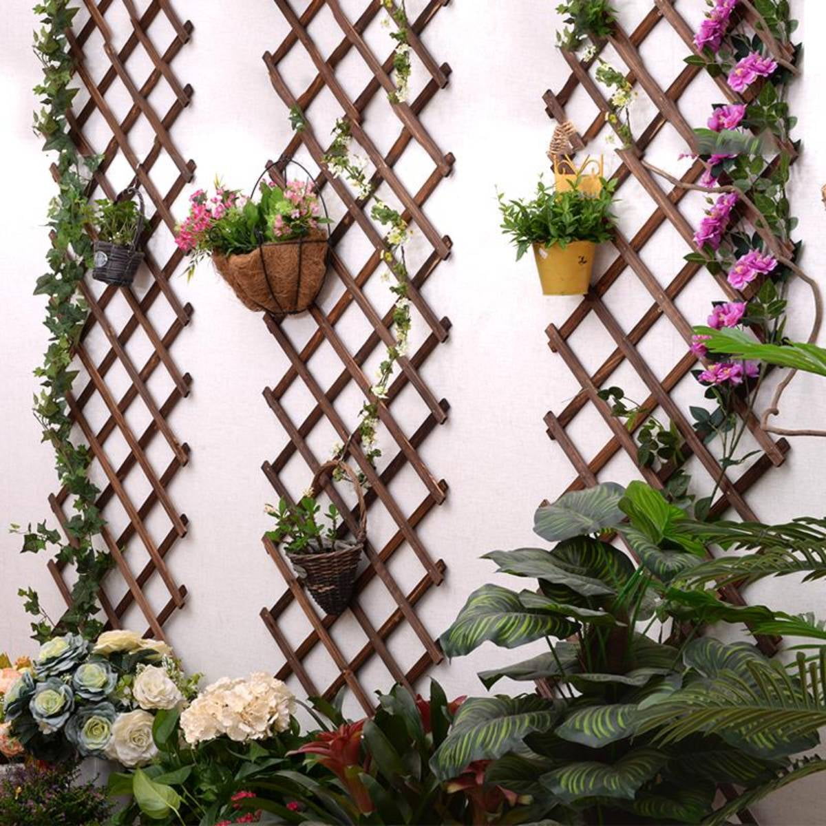 Minimalist Good Screening Plants For Fences with Best Design | Interior