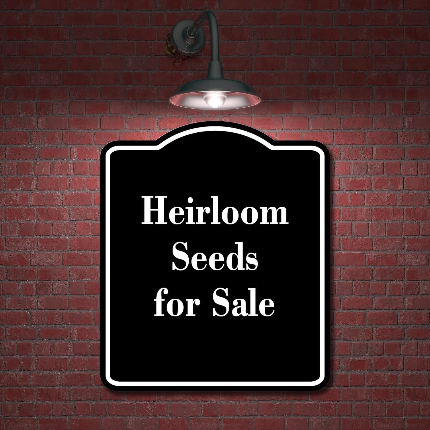 Heirloom Seeds For Sale BLACK Aluminum Composite Sign 20''x24''