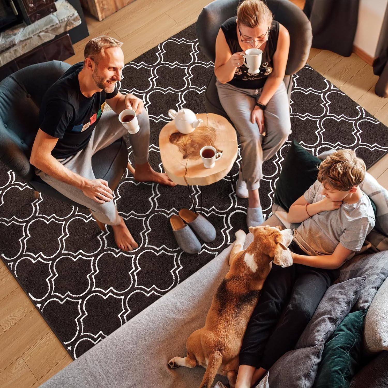 Lochas Fluffy Shaggy Rug Moroccan Geometric Soft Modern Area Rug for Living Room Home Decor Low Pile Carpet,Brown,4x6 Feet