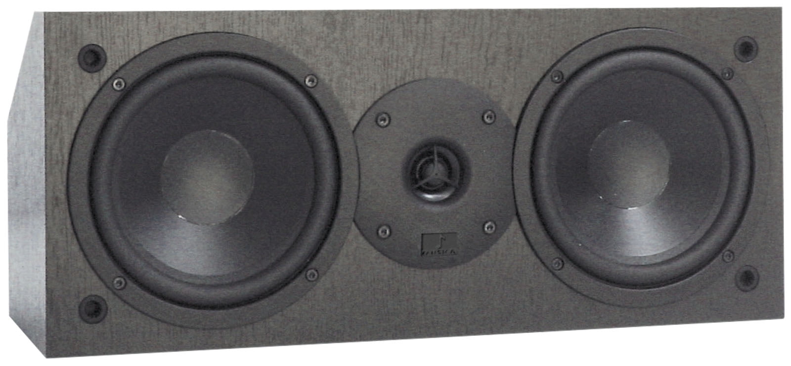 mtx center channel speaker