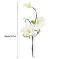 thumbnail image 2 of Ramo de flores de simulación de rama de flor artificial de 3 cabezas con hojas Decoración floral de oficina en casa, blanco Eigraketly HA7281-04B, 2 of 6
