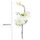 thumbnail image 2 of Ramo de flores de simulación de rama de flor artificial de 3 cabezas con hojas Decoración floral de oficina en casa, blanco sidaley HA7281-04B, 2 of 6