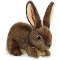 thumbnail image 1 of Aurora - Miyoni - Lapin Flamand 10 Pouces, 1 of 1