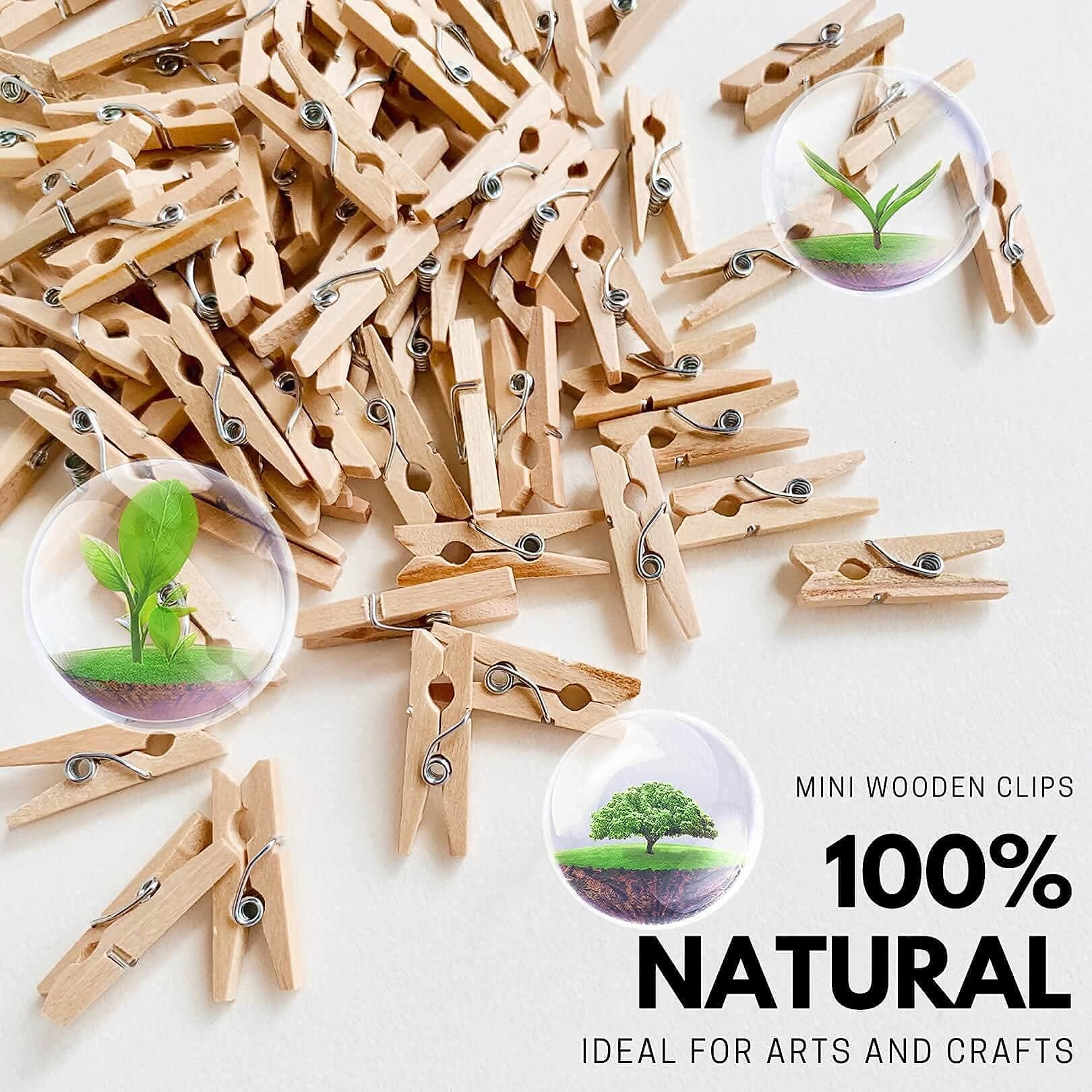 100Pcs Mini Clothes Pins for Photo, Small Clothespins Wooden Rainbow  Colorful Picture Clips, Mini Natural Wooden Clothespin, Display Artwork,  Hanging Decorative Tiny Cards 
