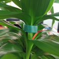 thumbnail image 3 of Hweilai 2 Pack Cravates de Jardin, Rouleaux de Ruban de Nylon Réutilisables pour les Plantes Grimpantes - 10mm x 10M - Vert, 3 of 5
