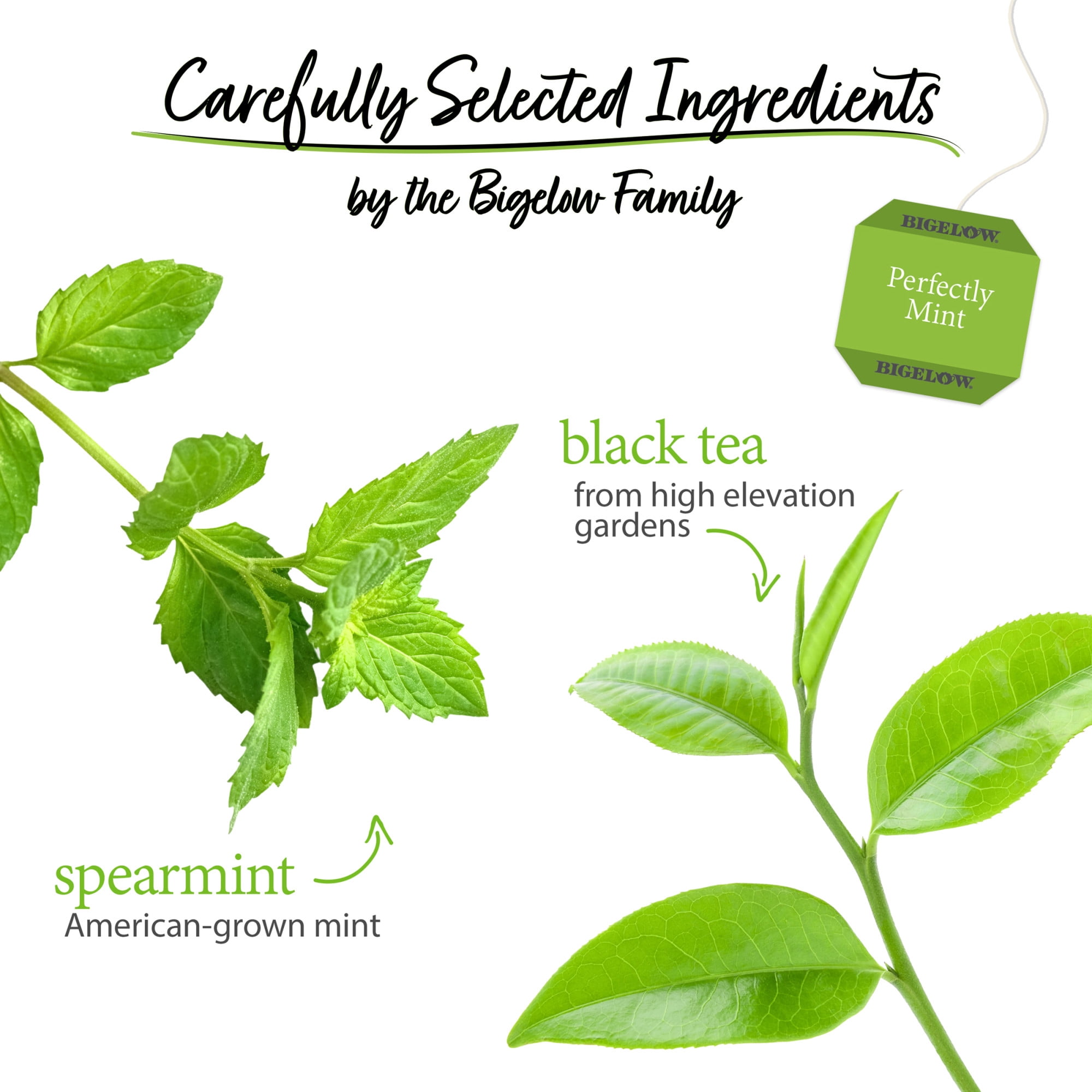 (3 pack) Bigelow Perfectly Mint, Black Tea Bags, 20 Count