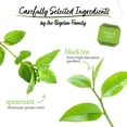 thumbnail image 3 of (4 pack) Bigelow Perfectly Mint, Black Tea Bags, 20 Count, 3 of 11