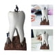 thumbnail image 5 of Wosthever Figurita - Regalo para dentistas y clínicas dentales Decoración de oficina Decoración de regalo Decoración de escritorio Artesanía cobreño, 5 of 6