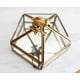 thumbnail image 2 of Joyero organizador Ukonic Harry Potter Gold Chocolate Frog, 2 of 7