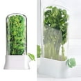 thumbnail image 2 of Detachable Compartment Herb Saver Box Vegetable Preservation Bottle for Mint, 2 of 18
