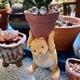 thumbnail image 4 of Contenedor de de resina con oso de para cactus, s pequeñas, resistente a corrosión, decoración para hogar, decoración de Soledad Maceta suculenta, 4 of 9