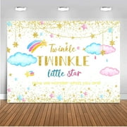 Twinkle Twinkle Little Star Gender Reveal Backdrop Pink and Blue Clouds Twinkle Twinkle Little Star Baby Shower Decorations Boy or Girl Gender Reveal Decoration Banner