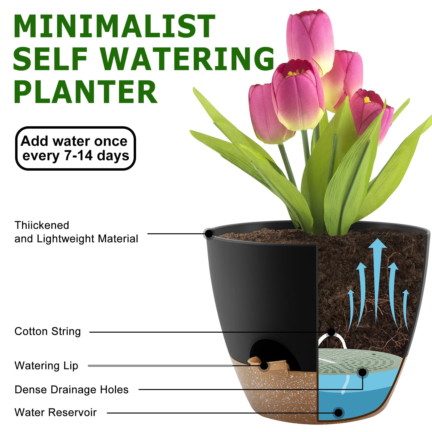 Self Watering Plant Pots Set of 5 with Drainage Holes and Saucers, Plastic Flower Planters for Indoor and Outdoor Gardening, Various Sizes