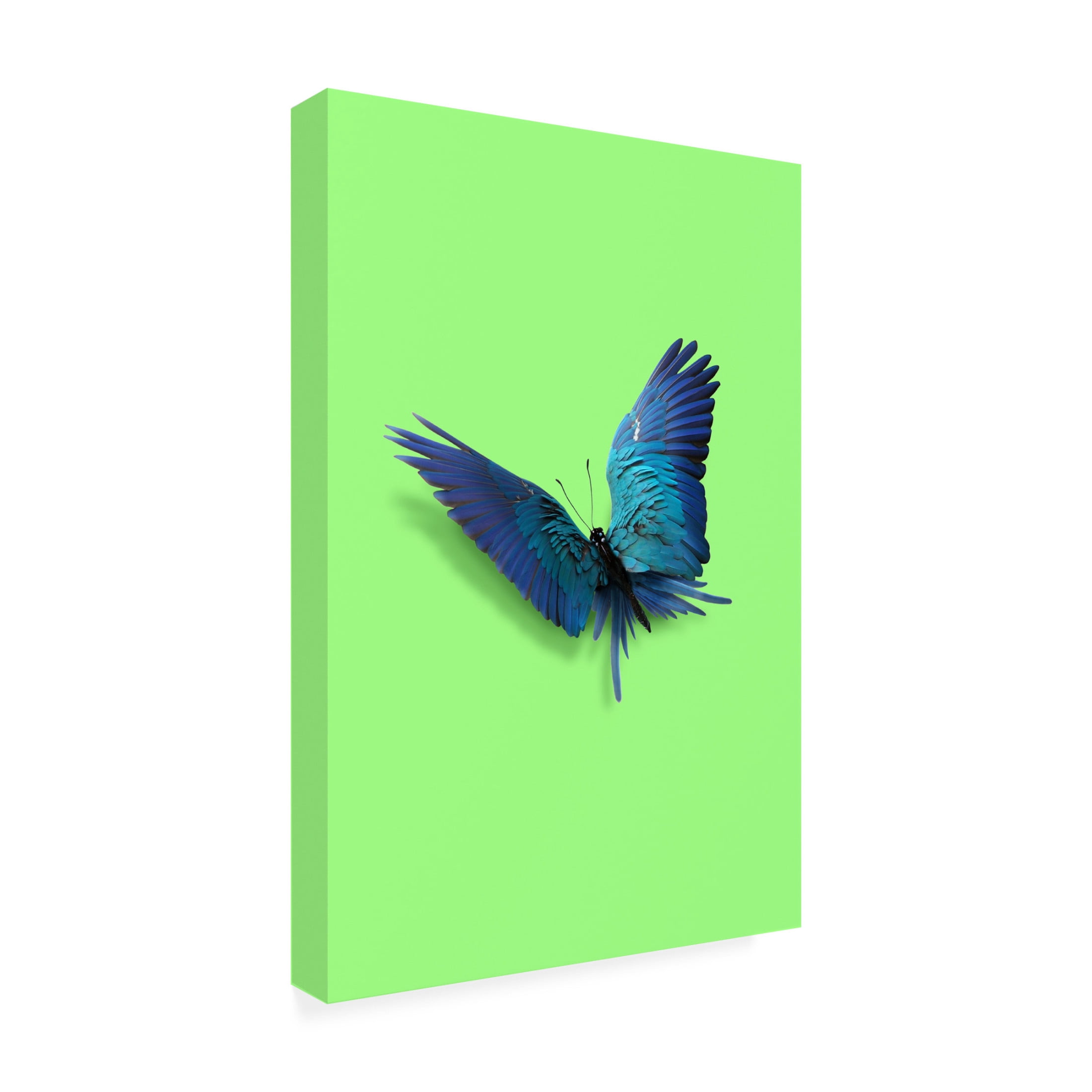 Trademark Fine Art Artem Pozdniakov  Parrot Butterfly Canvas Wall Art