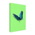 thumbnail image 4 of Trademark Fine Art Artem Pozdniakov  Parrot Butterfly Canvas Wall Art, 4 of 4