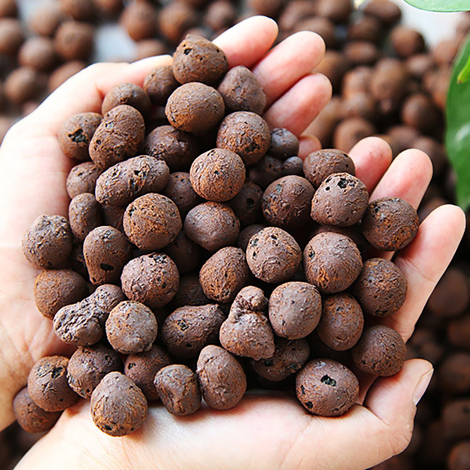 完全最終値下 カンゴル PEBBLES CAP ツィード L Clay Pebbles,Leca Clay Pebbles for Plants,Clay Pebbles for Plants
