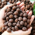 thumbnail image 4 of 200g Hydroponic Clay Pebbles, pH Neutral Expanded Clay Rocks for Orchid & Plant Growth, Reusable, Inert & Clean Growing Medium for Hydroponics and Gardening, 4 of 9