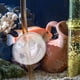 thumbnail image 5 of 40 piezas de accesorios para peceras, abrazaderas de manguera blandas con ventosa, clips de fijación para tubos de oxígeno de acuario, confiables y fáciles de instalar para el suministro de peceras., 5 of 6