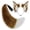 Brown+white, variant on Anime Wolf Fox Cat Ears Headbands Poseable Tail Set,Fluffy Fox Wolf Cosplay Costumes,Fursuit Therian Accessories for Halloween
