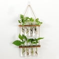 thumbnail image 2 of Jarrones De Tubo De Ensayo Propagador De Plantas Hidropónicas Desmontable Simple Elegante Estación De Propagación De Plantas Para Habitación Oficina Balcón Marrón,2 Niveles Inevent HA011389-02B, 2 of 7