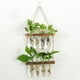 thumbnail image 4 of Matsuzay Jarrones de tubo de ensayo de 2 niveles, propagador de plantas hidropónicas, estación de propagación de plantas elegante Simple Decoración del hogar Marrón, 4 of 6