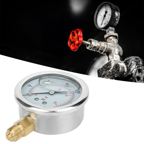Presión TS PGG604-20BAR 1/4BSP Y60 MANOMETRO DE MEDIDOR DE PRESIÓN RELLENO DE ACEITE RADIAL PARA MAQUINARIA