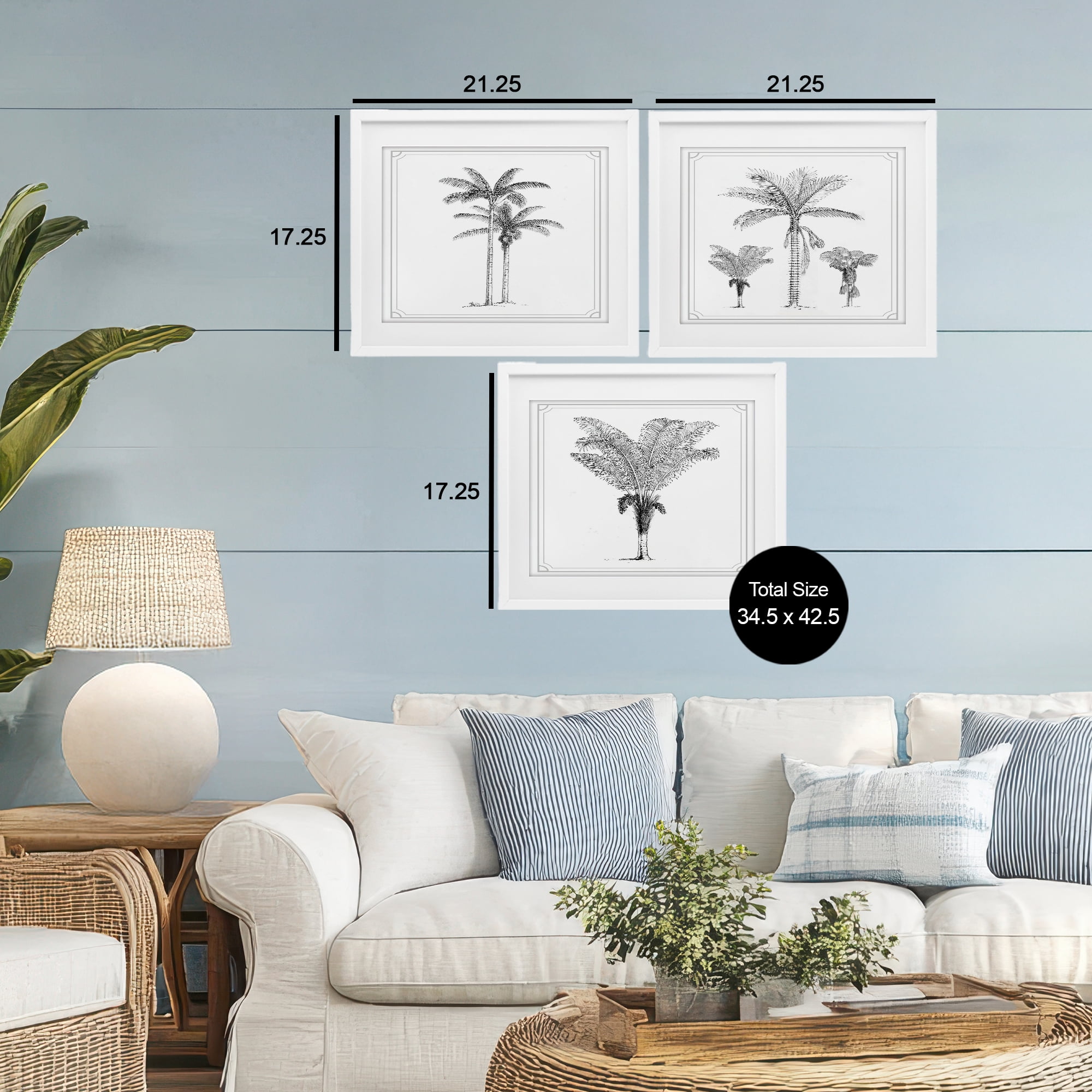 Minimal Vintage Palm Tree Sketches 3 Piece White Framed Print Under Glass Set, design by Lettered and Lined