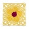 Dilly daylily