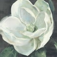 thumbnail image 2 of Rowan, Carol 12x12 Black Ornate Wood Framed with Double Matting Museum Art Print Titled - Magnolia III Sage, 2 of 4