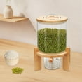 thumbnail image 3 of Grain Rice Container 5 L Dry Food Dispenser Bottle Glass Storage Cereal W/ Valve, 3 of 24