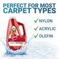 thumbnail image 4 of Hoover Expert Pet Carpet Cleaner Solution,128Oz, AH15075, 4 of 4