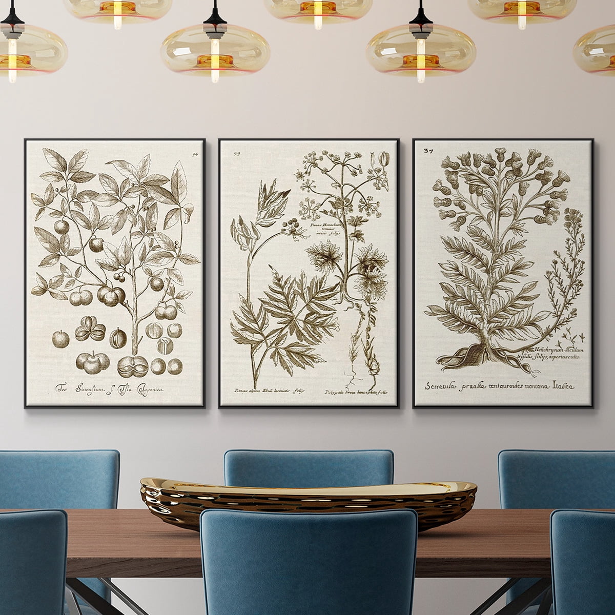 Sepia Botanical Journal I - Framed Premium Gallery Wrapped Canvas L Frame 3 Piece Set - Ready to Hang