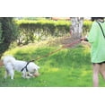 thumbnail image 5 of Correa fuerte para perros con asa acolchada cómoda e hilos altamente reflectantes para perros pequeños, medianos y grandes, color rojo oso de fresa  Hogar, 5 of 5