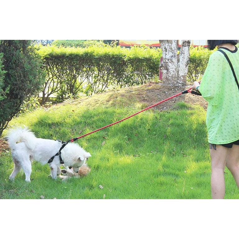 Baapet 5 ft strong dog leash with comfortable padded handle store and highly reflective threads for medium and large dogs