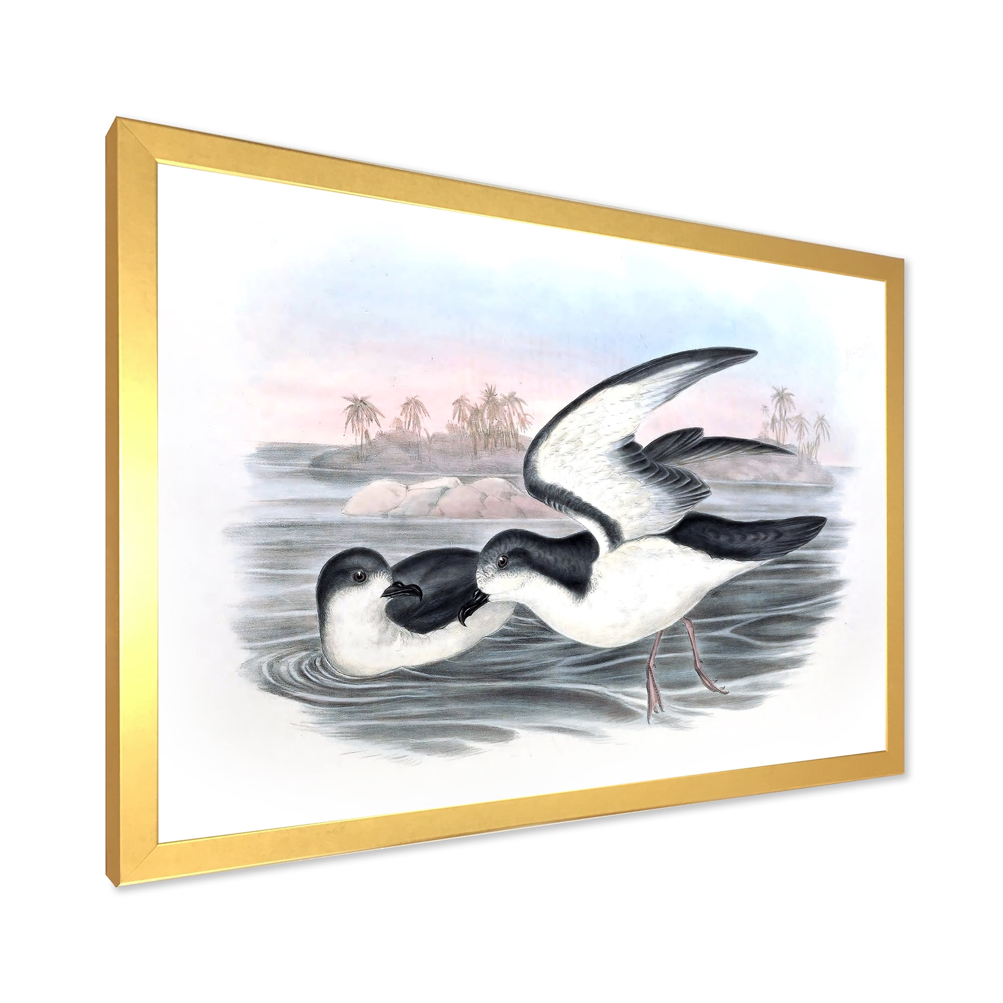 Designart 'Ancient Australian Birds X' Traditional Framed Art Print