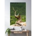 thumbnail image 2 of Twisted Tree Poster Wall Art, Modern Wall Decor For Living Room Bedroom, 16x24 UNFRAMED, 2 of 3
