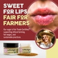 thumbnail image 3 of Eco Lips Organic Exfoliating Sugar Lip Scrub, Brown Sugar, Vanilla Bean, Mint, Mint Truffle 4 Pack Variety, 0.25 oz. jars, 3 of 8