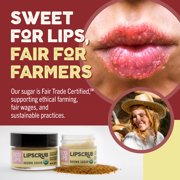 Eco Lips Organic Exfoliating Sugar Lip Scrub, Brown Sugar, Vanilla Bean, Mint, Mint Truffle 4 Pack Variety, 0.25 oz. jars