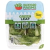 Backyard Farms Green Leaf Pre-Washed Lettuce, 4 oz Resealable Package, Fresh