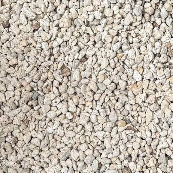 Triani 0.4lbs Horticultural Bonsai Pumice Succulent and Cactus Plants Pumice Stone for Plants Succulent Cactus Bonsai Orchid Soil Amendment for Plants Landscaping Vase Fillers