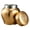 A, variant on Stainless Steel Pet Memorial Ashes Urn Black Sealed Jar Cats Funeral Keepsakes Moistures Proof Dog Cremation Urn Garden