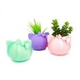 thumbnail image 2 of Clever Contraption Small Cat Face Succulent Planter Vase – 3D Printed, 2 of 9