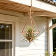 thumbnail image 4 of Geometric Air Plant Holder with Hanging Chain, Metal Hanging Tillandsia Holder, 3 Different Size Macrame Plant Holder, for Small Air Plants Indoor Garden Wall Decor, 4 of 6