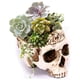 thumbnail image 2 of 3X Maceta de Resina con Forma de Calavera, Maceta para Flores y Suculentas, Maceta con Esqueleto Tallado, Maceta para Cactus de AzúCar, Soporte para Macetas, Cuenco para Dulces, 2 of 5