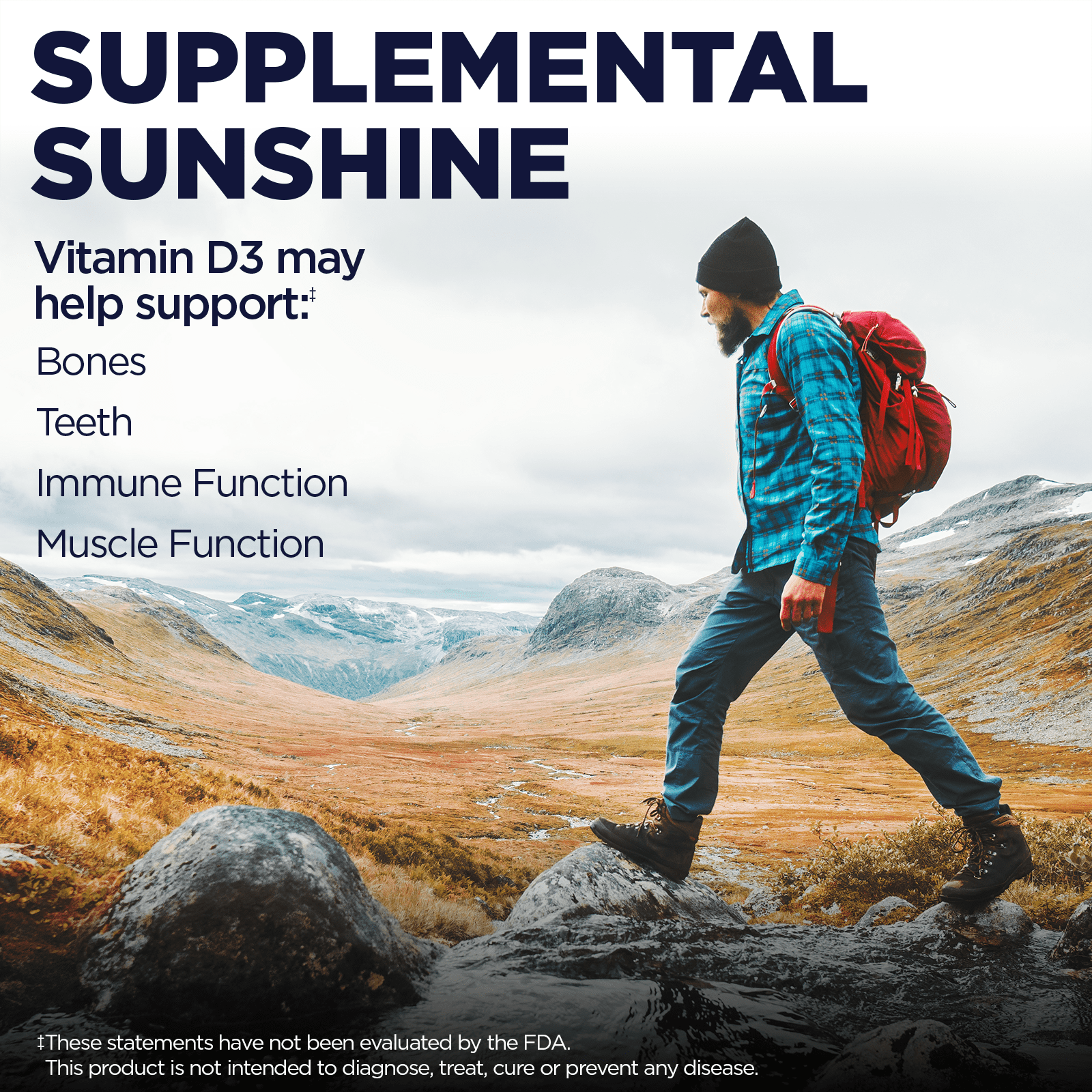 KAL Vitamin D-3 2000 IU Dropins in Organic Chia Seed Oil, Natural Blueberry | Healthy Immune & Bone Support | 590 Serv.